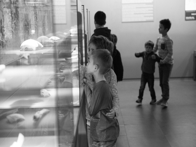 Centro Interpretação Batalha Aljubarrota