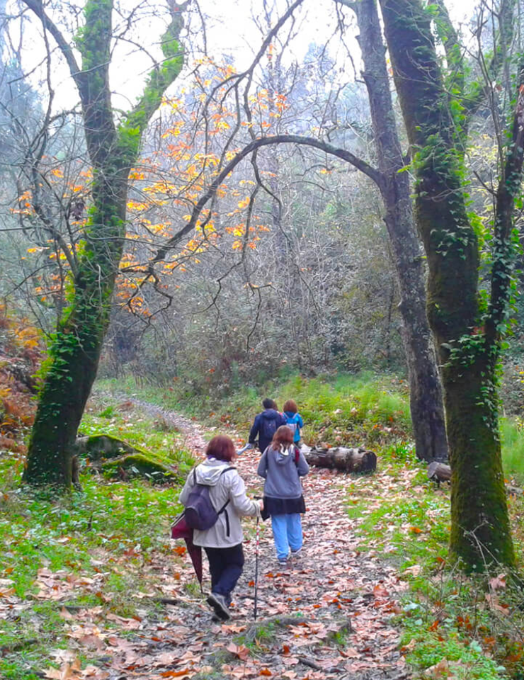 Caminhada na Fonteireira, Serra da Carregueira