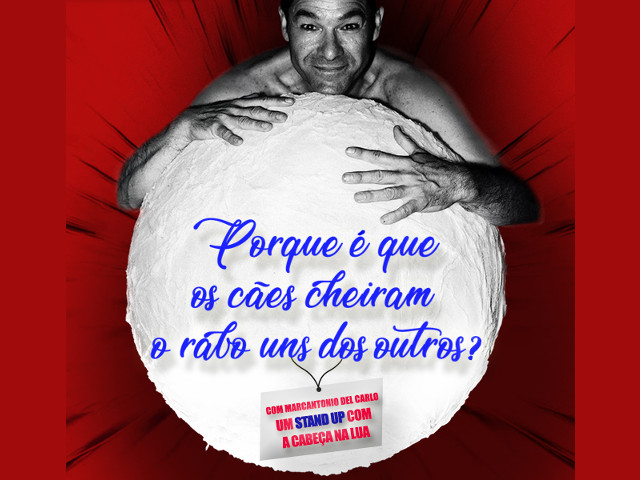 Porque é que os cães cheiram o rabo uns dos outros?