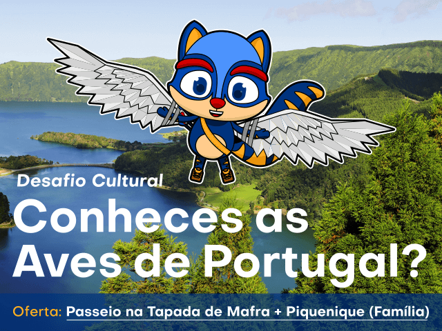 Conheces as Aves de Portugal?