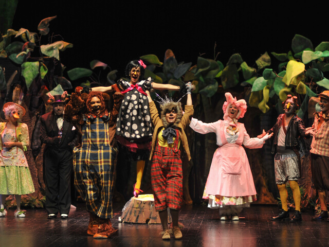 Há festa na floresta