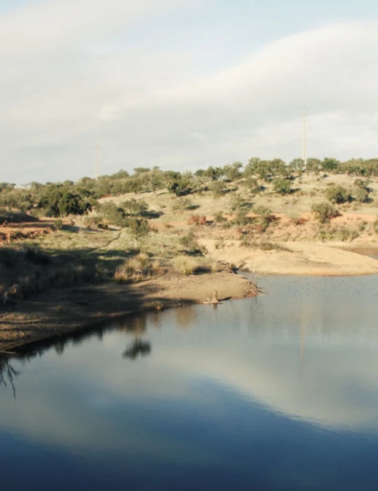 Voucher - Safari pelo Alentejo