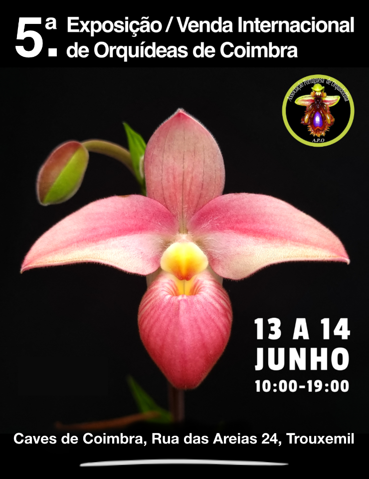 Entrada Dupla para o evento