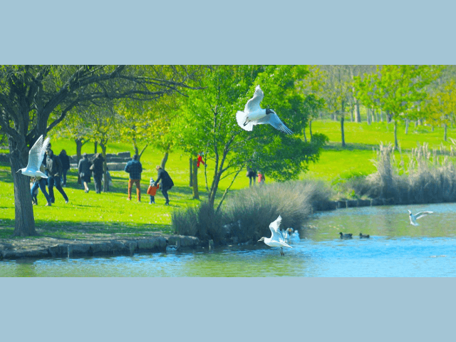 Do Parque da Paz à Casa da Cerca c/ yoga + picnic