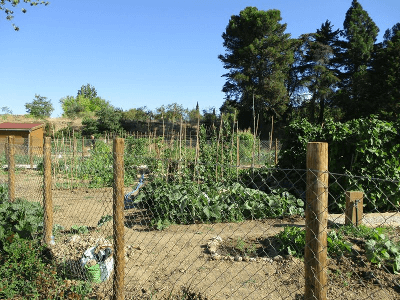 Caminhando em Jardins e Parques de Lisboa – novo percurso