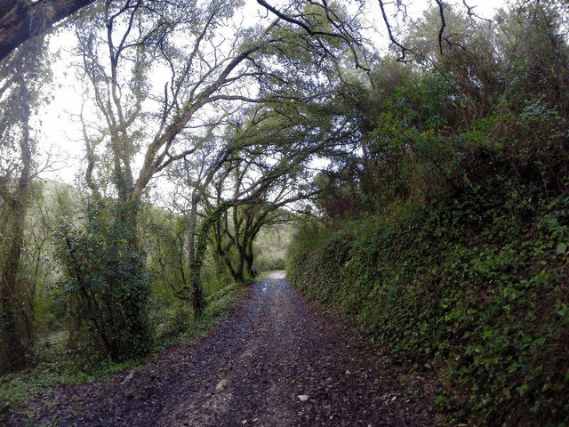Caminhando no Vale Encantado - caminhada
