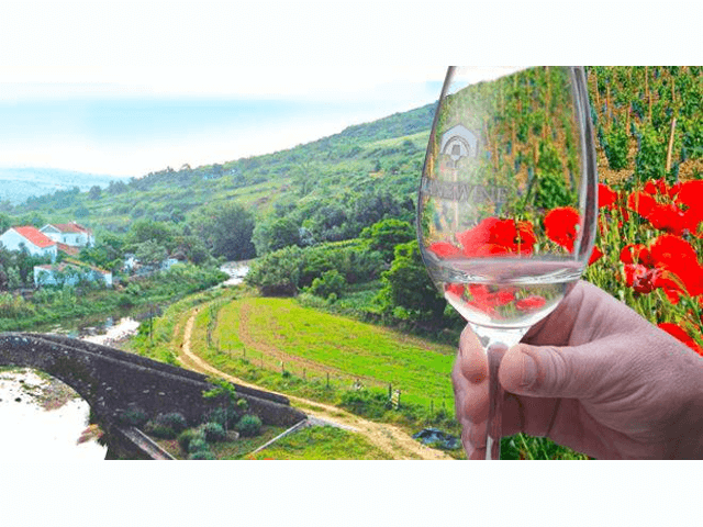 Passeio Dia da Mulher c/ prova de Vinhos