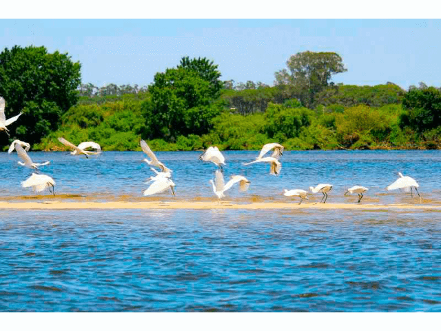 Passeio pela magia do Tejo + Caminhada em Escaroupim